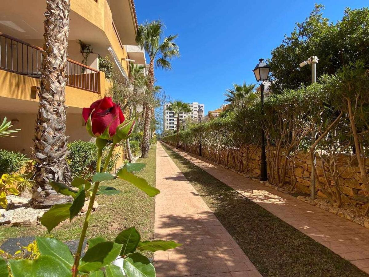 Acogedor Apartamento Al Lado De La Playa Alicante Eksteriør billede